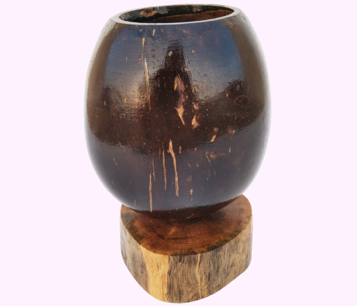 Handmade Coconut Shell Pen Stand & Eco-Friendly Desk Organizer - Image 2