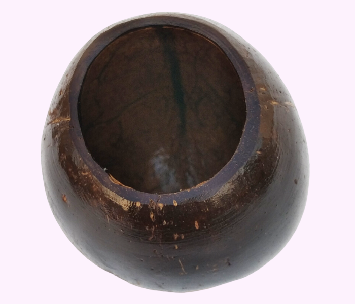 Handmade Coconut Shell Pen Stand & Eco-Friendly Desk Organizer - Image 3