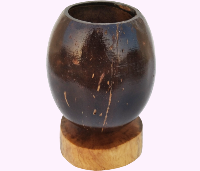 Handmade Coconut Shell Pen Stand & Eco-Friendly Desk Organizer - Handcrafted Product